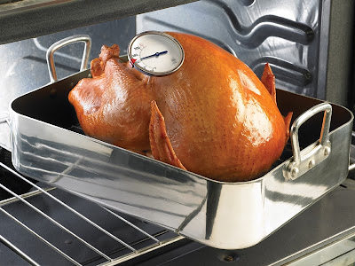 Thermometer in Turkey in Pan on Oven Rack - Are You Hungry Yet?
