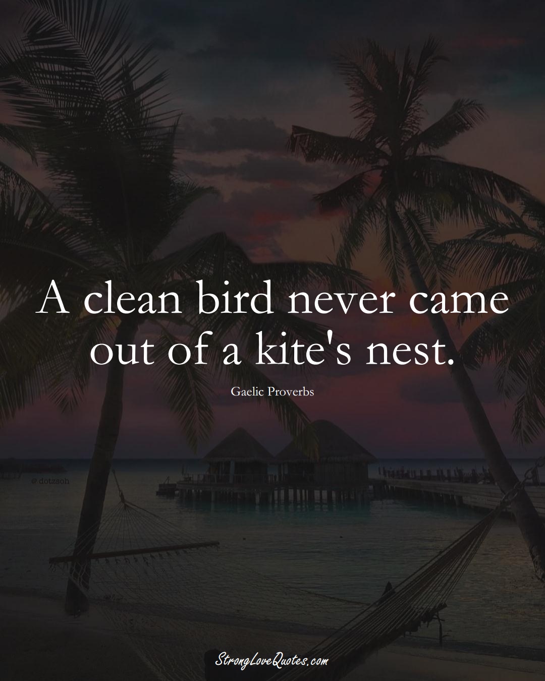 A clean bird never came out of a kite's nest. (Gaelic Sayings);  #aVarietyofCulturesSayings