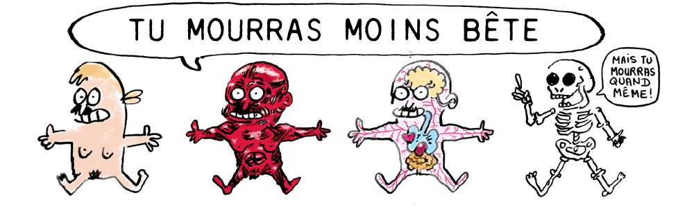 Tu mourras moins bête