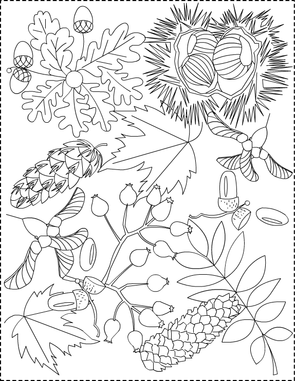 Nicole's Free Coloring Pages: Autumn coloring pages