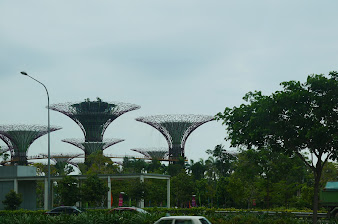 相片