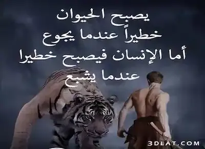 رجل نصف عاري يواجه نمراً وحشاً مفترساً دليلاً على خطورة الحيوان حين يجوع والإنسان حين يشبع