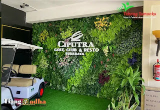 tukang taman johar baru dan jasa pembuatan taman di johar baru jakarta pusat