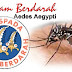 Hati-Hati Nyamuk Aedes Aegypti Bisa Jadi Penyakit Tahunan yang Mematikan