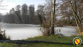 MEREVILLE (54) - Etang de la Justice gelé !