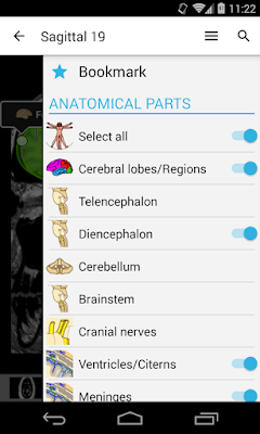 تطبيق IMAIOS e-Anatomy للأندرويد, تطبيق IMAIOS e-Anatomy مدفوع للأندرويد, IMAIOS e-Anatomy apk