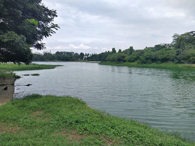 Kempambudhi Lake , Bengaluru 9