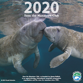 Cover of the 2020 Save the Manatees caledar, with a photo of two manatees