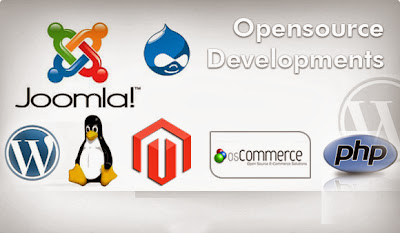 Open Source Development