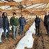 Convenio INDAP-AFIPA inicio visitas a terreno a parcelas demostrativas