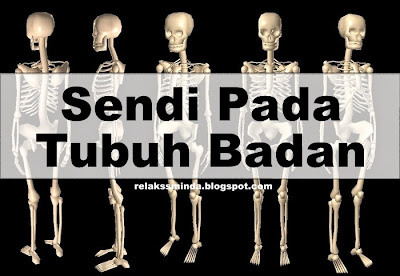 Kenali Sendi Pada Anggota Tubuh Badan