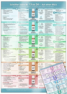 Schüßler-Salze Nr. 13 bis 24 – Auf einen Blick (2020): Schnell orientieren, leicht verstehen und selbst anwenden (DINA4 - laminiert)