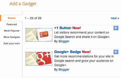 Google +1 button and Badge