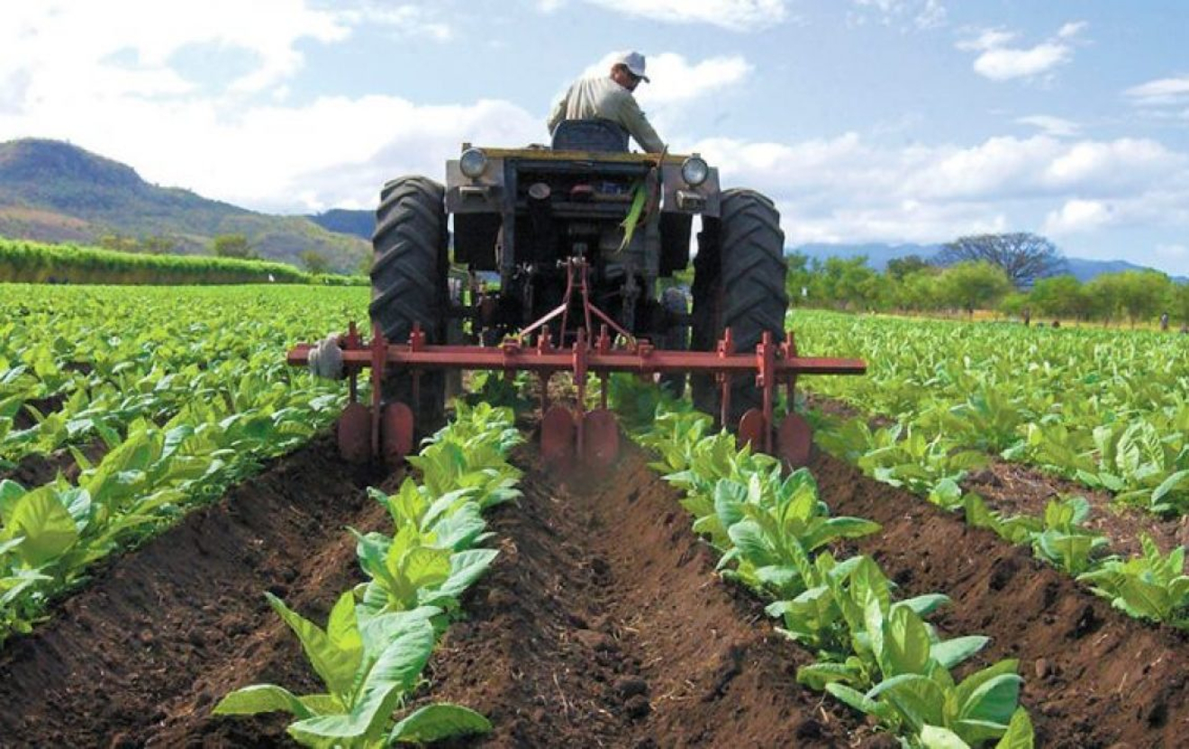 Sector agrícola en Venezuela sin posibilidad de siembra