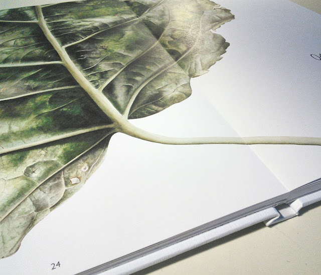 Leafscape botanical art book by Inky Leaves