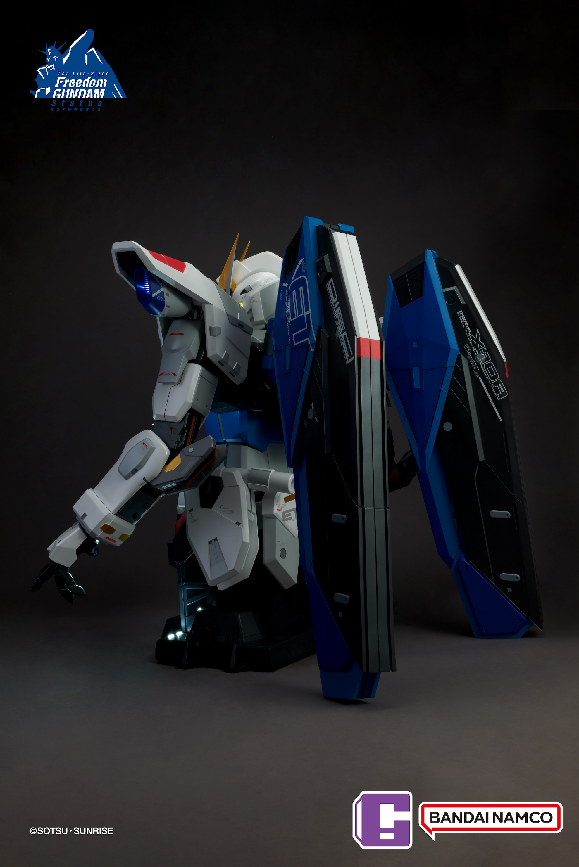 BUSTO FREEDOM GUNDAM VER GCP - 11