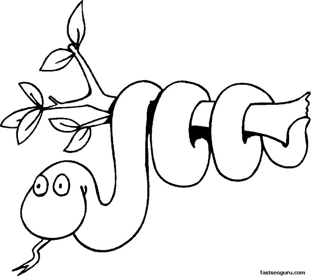 Wild Animal Coloring Page African Giraffe  African Safari 