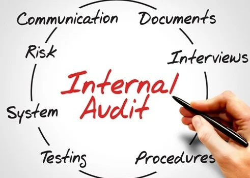 Internal Audit Procedure