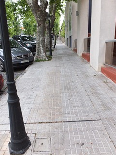 040dev-DSCF0422