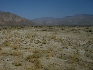 we found the Clark Lake Beds