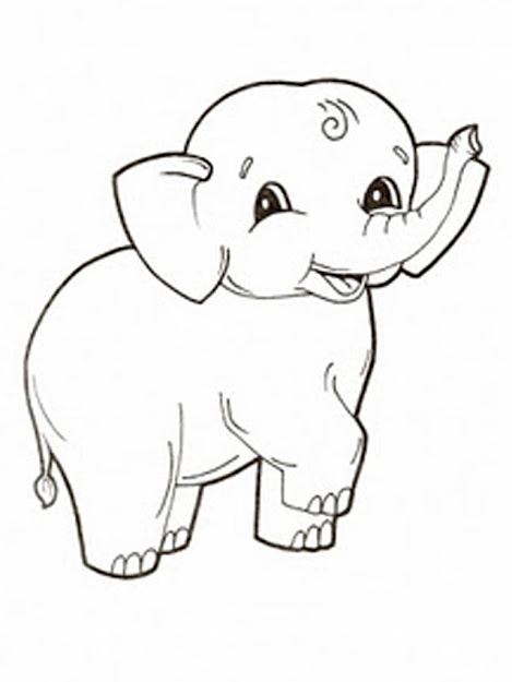Coloring Pages Of Elephant