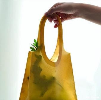 Handbag made of fruit peel