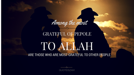 Among the most grateful of people to Allah are those who are the most grateful to other people.