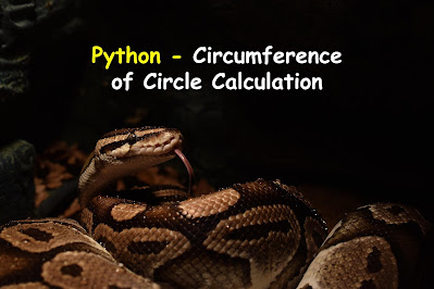 Python - Circumference of Circle Calculation
