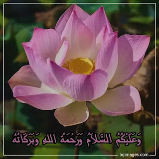 walaikum salam arabic images