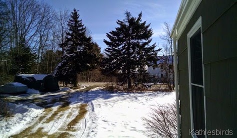 6. driveway 1-26-15