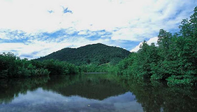 Gunung Bintan