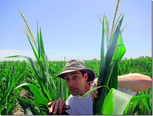 uncool-in-the-corn