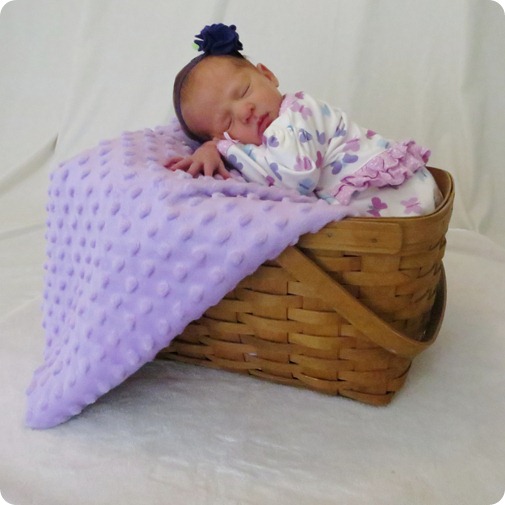 Liberty's Newborn Portraits