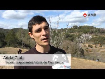 Adrià Giol, responsable dels Horts de Can Pinyol