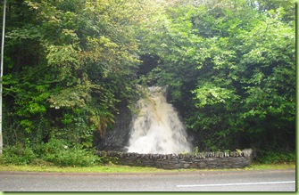 PICT0029