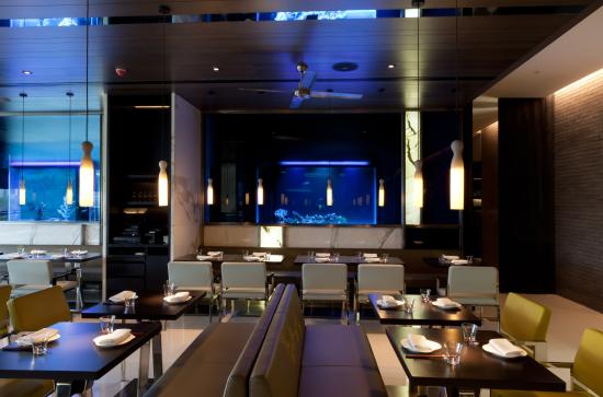 Indulge in Fine Dining Excellence at Yauatcha, Mumbai