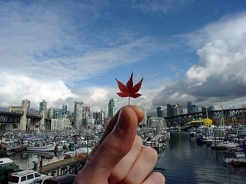 fall in Vancouver