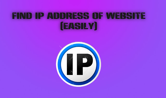 Find IP Address Of A Website