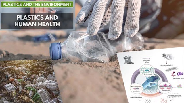 harmful effects of plastic on human health and environment