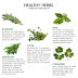 Healthy herbs - Freshen up your meals with herbs