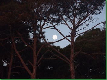 Thursday & Friday Hunting Island 218