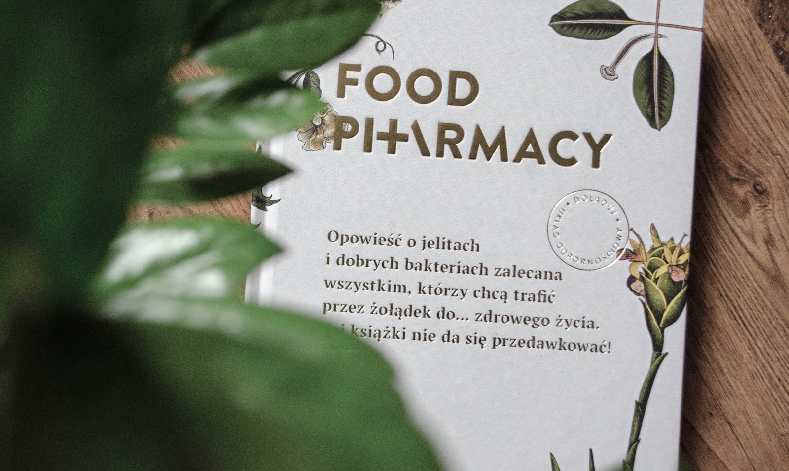 food pharmacy | książka | recenzja | papier | kot | rośliny | liście | poradnik