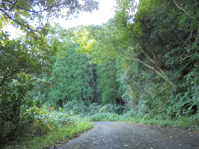 赤松池から寂れた道を歩きます