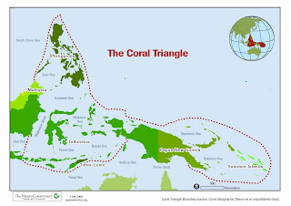 Largest coral reef