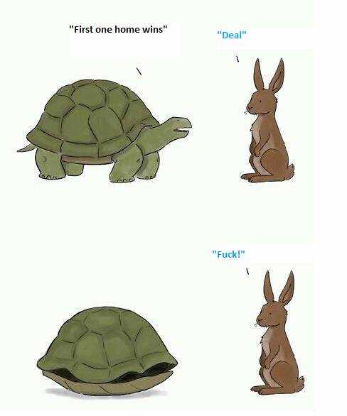 The tortoise and the hare