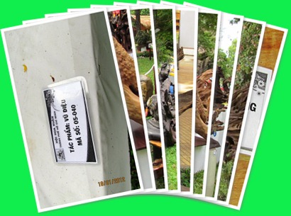 View album