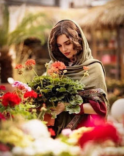 صورة