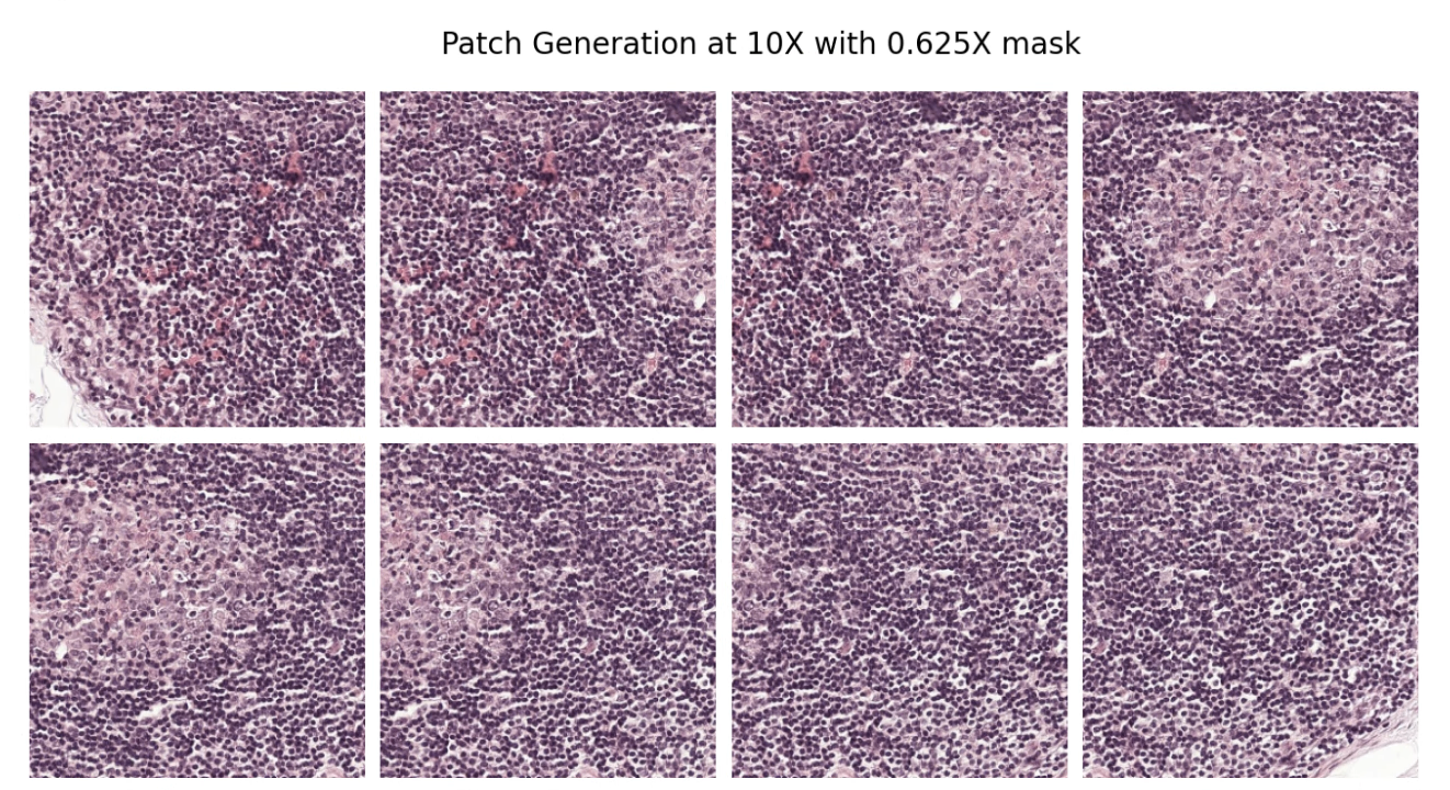 image showing patch generation at 10X with 0.625X mask, rendered by matplotlib