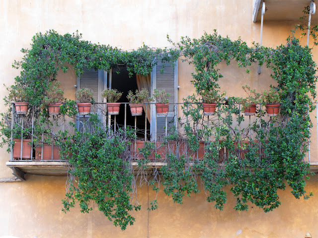 Green balcony, piazza Navona, Rome