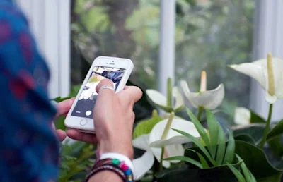 Sim, você leu certo! Plantas que se conectam ao seu smartphone para te avisar quando precisam de água ou luz. A fusão perfeita entre natureza e tecnologia.